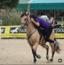 Remedy Lena un pony soeciale