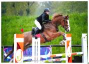 SF, 11 ans, CSO <20 000