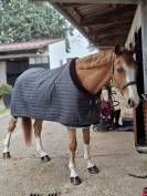 Cheval amateur CSO/Hunter