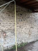 Pension pré pour Chevaux et Poneys 