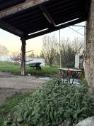 Pension pré pour Chevaux et Poneys 