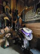 Pension pr&eacute; avec abris 