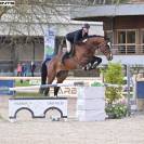 Ilton du Haut Manoir 