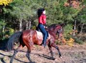 Tr&egrave;s belle et grande jument