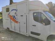 Vends Renault Master transport de chevaux 
