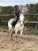 Poney loisir PP Appaloosa