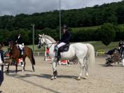 Oldenburg-International (OS), Gelding, 14 ans