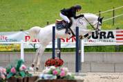 Oldenburg-International (OS), Gelding, 14 ans