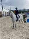 Oldenburg-International (OS), Gelding, 14 ans