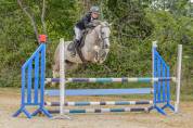Poney de sport 