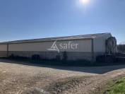 Dairy farm  Haute-Saône