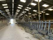 Dairy farm  Haute-Saône