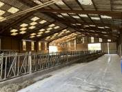 Dairy farm  Haute-Saône