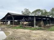 Other agricultural property  Lot-et-Garonne