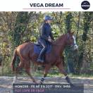 VEGA DREAM - PS - 8 ANS