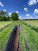 Demi-pension avec option d’achat 