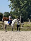 Bonjour vend espagnol hongre de 5 ans