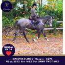 jeune AQPS 4 ans en 2026 mental en or