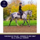 Magniofique 6 ans env 1m67