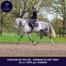 Magniofique 6 ans env 1m67