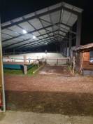 Pension pr&eacute; ou paddock/box