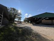 Pension Chevaux – Élevage du Tavernier (Cressensac, Lot