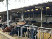 Propriété agricole sur 23ha