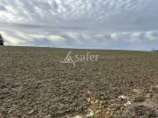 Propriété agricole sur 23ha