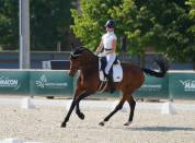 Jument dressage par Secret 