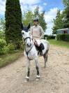 Lazarro - cheval onc espagnol de 4ans