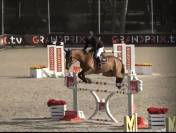 Cheval Expérience 140/145/3*