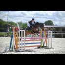 Demi pension cheval 9 ans