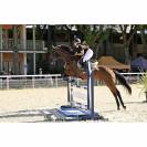 Demi pension cheval 9 ans