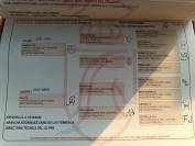 PRE Colt • 2 Years Old • Rare Cream Color • Strong Morp