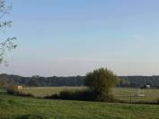 Pension chevaux Vendôme box pré