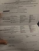 Hongre de 6ans par im spécial de muze x Ulak du chateau