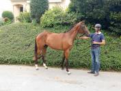 Jument SF de 2 ans (3 ans en 2026)