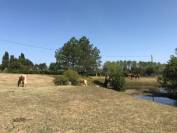 Pension Retraite & Convalescence