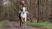 Hongre OC Appaloosa 5 ans 