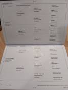 Pouliche grise 18mois Clintrexo Z x Diamant de Semilly