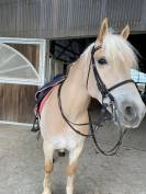 Demi pension Halfinger 