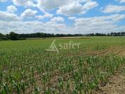 Other agricultural property  Haute-Vienne