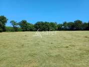 Sheep farm  Haute-Vienne