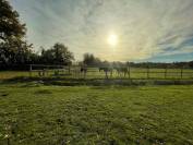 Propriété Equestre 10 hectares, idéal Premier Achat
