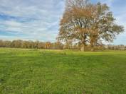 Propriété Equestre 10 hectares, idéal Premier Achat