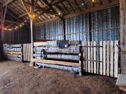 Pension familiale Pour chevaux et poneys