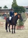Top poney polyvalent tous niveaux