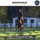 MONTECRUZ - PS - 7 ANS