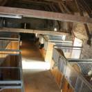 Offre stage dans écurie de propriétaires