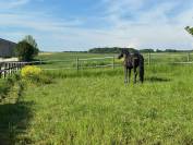 Pension Écuries des basses lisières